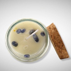 BURVESTĪBU SVECE - AIZSARDZĪBAI sodalīts un pūķa asinis