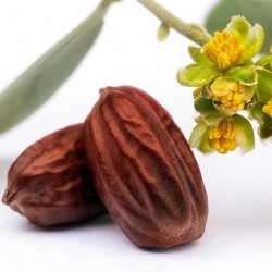 Jojoba eļļa 50 ml Jojoba eļļa 50 ml