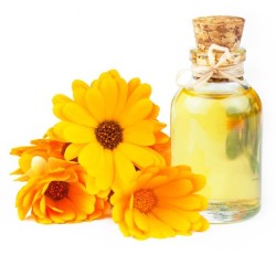 Kliņģerīšu eļļa (Calendula Officinalis) - 50 ml Kliņģerīšu eļļa (Calendula Officinalis) - 50 ml