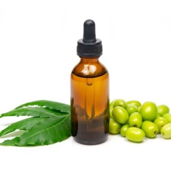 Nīma eļļa (Azadirachta Indica) - 50 ml Nīma eļļa (Azadirachta Indica) - 50 ml