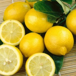 Lemon Essential Oil (Citrus Limon) - 10ml Lemon Essential Oil (Citrus Limon) - 10ml