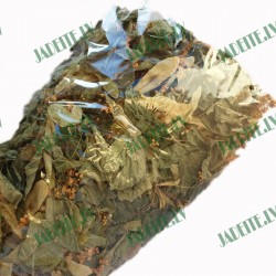 Liepas pirts slota (x1) Liepas pirts slota (x1)