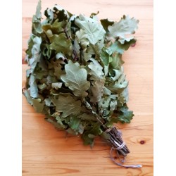 Ozolu pirts slota (x1) Ozolu pirts slota (x1)